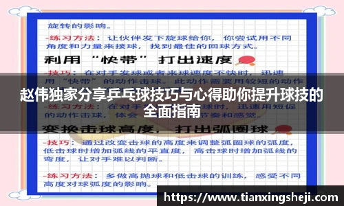 赵伟独家分享乒乓球技巧与心得助你提升球技的全面指南